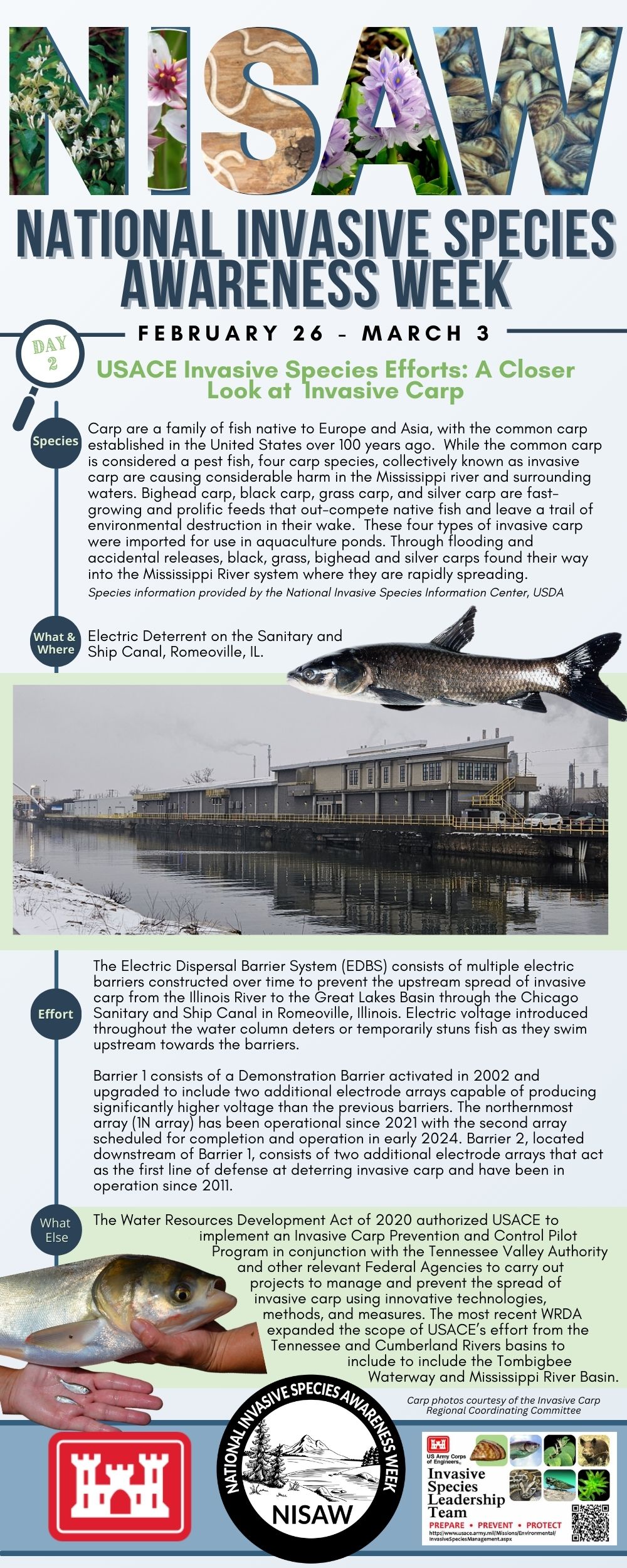 Bookmark for Day 2 of National Invasive Species Awareness Week, highlighting the USACE invasive species efforts related to invasive carp