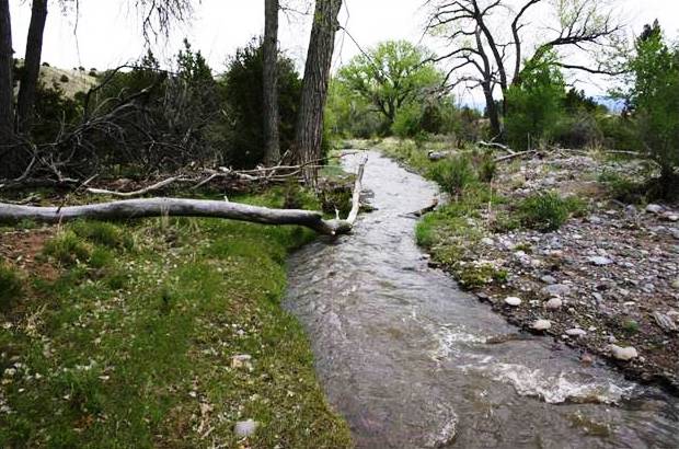 Santa Clara Creek prior to the Cerro Grande Fire.