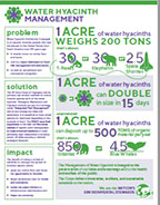 Water Hyacinth Management