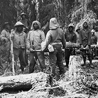 African American soldiers in the forest cutting trees and hauling logs
