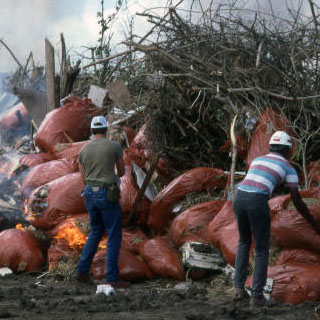 Two men burn a pile of debris