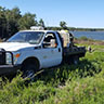 Sericea lespedeza is an extremely aggressive invasive plant that spreads rapidly in fields and takes over native species such as warm season grasses and pasture hay.